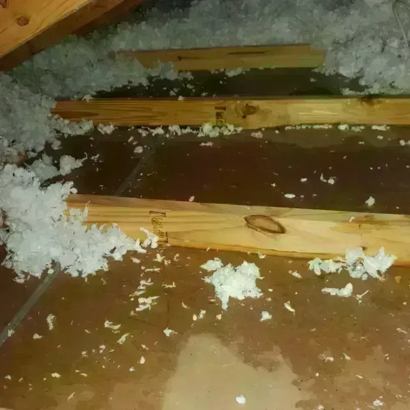 Attic Water Damage in Ironton, MO