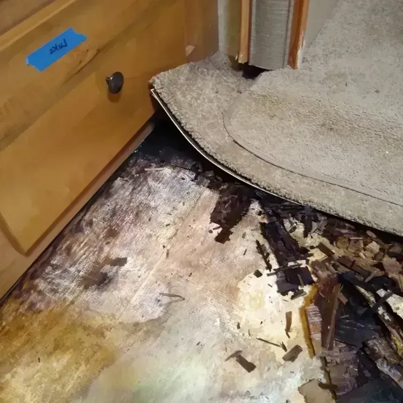 Wood Floor Water Damage in Ironton, MO